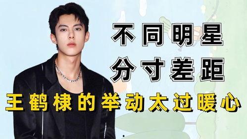 娱乐圈吃瓜王鹤棣微博,吃瓜群众纷纷围观