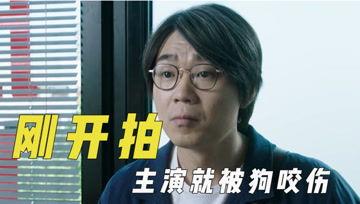 娱乐吃瓜君114,揭秘娱乐圈最新热点事件