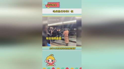 娱乐播报吃瓜是真的吗视频,娱乐播报背后的真相