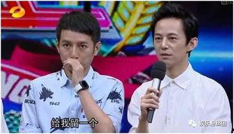 娱乐综艺节目吃瓜,吃瓜群众带你领略明星幕后故事