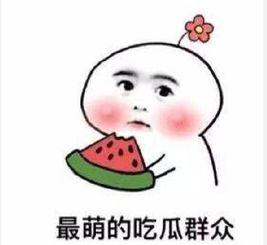 娱乐吃瓜酱艾特你朋友,“娱乐吃瓜酱带你揭秘好友圈里的那些事儿”