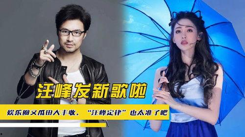 娱乐吃瓜蜀黍汪峰小说,揭秘娱乐圈背后的风云变幻