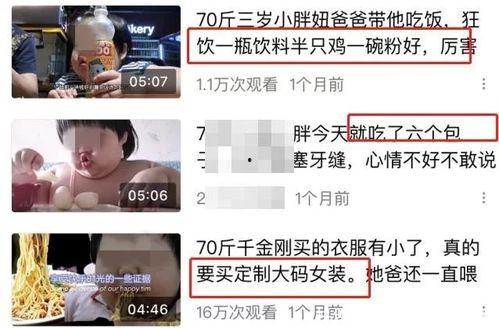 娱乐吃瓜酱网友总结,吃瓜酱网友深度解析