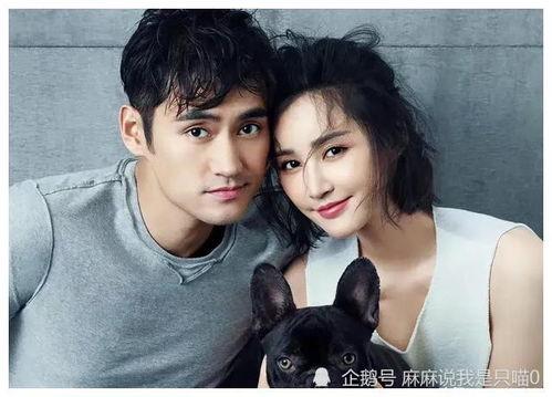 吃大瓜全娱乐圈听我吃瓜爆料