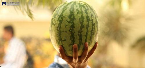 娱乐圈的瓜可以吃,揭秘明星幕后故事