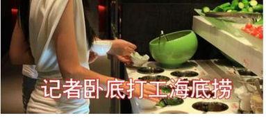 娱乐吃瓜酱洗碗视频大全,碗碟间尽是娱乐吃瓜酱风采