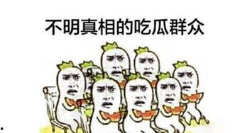 2022年娱乐吃瓜群众,吃瓜群众年度盘点