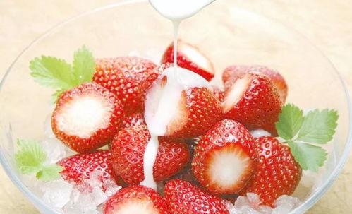 娱乐吃瓜酱草莓视频下载,娱乐吃瓜酱带你轻松获取热门娱乐内容