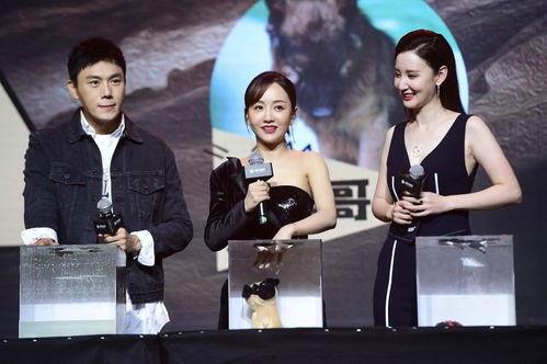 娱乐圈吃瓜段子大全最新,揭秘最新吃瓜段子大全