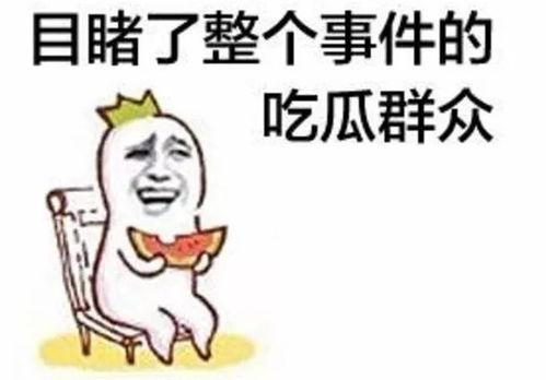 娱乐吃瓜君赚了多少钱,揭秘网络红人惊人吸金能力