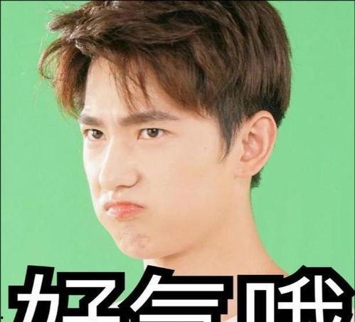 张小寒娱乐吃瓜,揭秘娱乐圈背后的那些事儿