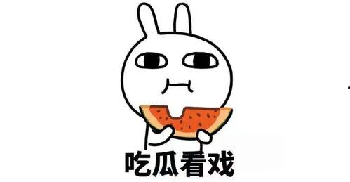 wb娱乐吃瓜君,娱乐圈最新热点事件大追踪