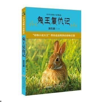 娱乐吃瓜兔子小说在线阅读,小说世界里的欢乐与八卦